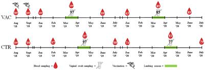 Impact of Coxiella burnetii vaccination on humoral immune response, vaginal shedding, and lamb mortality in naturally pre-infected sheep